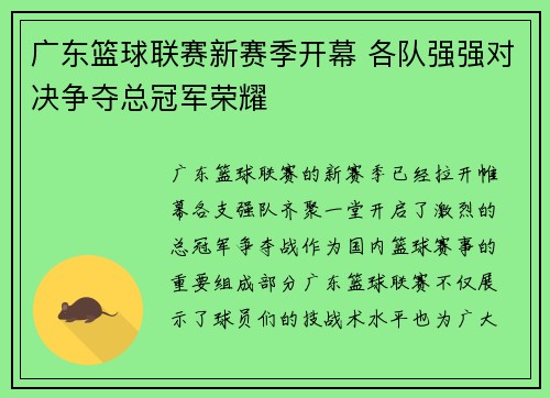 广东篮球联赛新赛季开幕 各队强强对决争夺总冠军荣耀